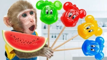 Baby Monkey Broken Truck While Harvesting Fruit And Get Helped